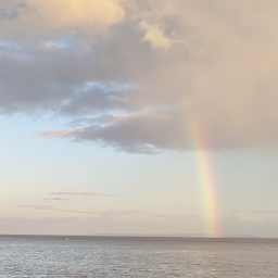 A picturer of the sea's horizon, with a rainbow