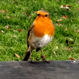A picture of a robin on a bench in a park